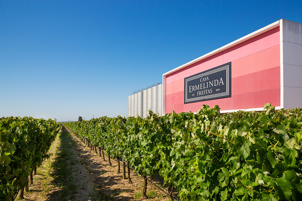 empresa---2-casa-ermelinda-freitas.jpg