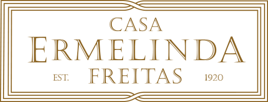 logo-casa-ermelinda-freitas-cor.svg